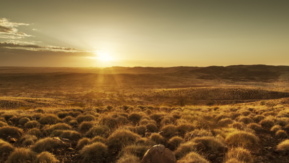 Meet the Manager with Zenith Investment Partners