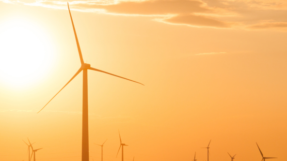 Octopus Australia announces billion-dollar-plus partnership with Dutch pension investor APG